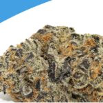 Do-Si-Dos Weed Strain