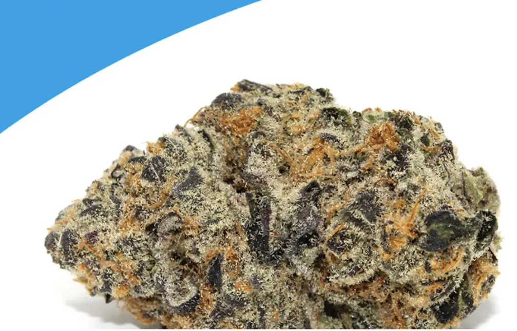 Do-Si-Dos Weed Strain