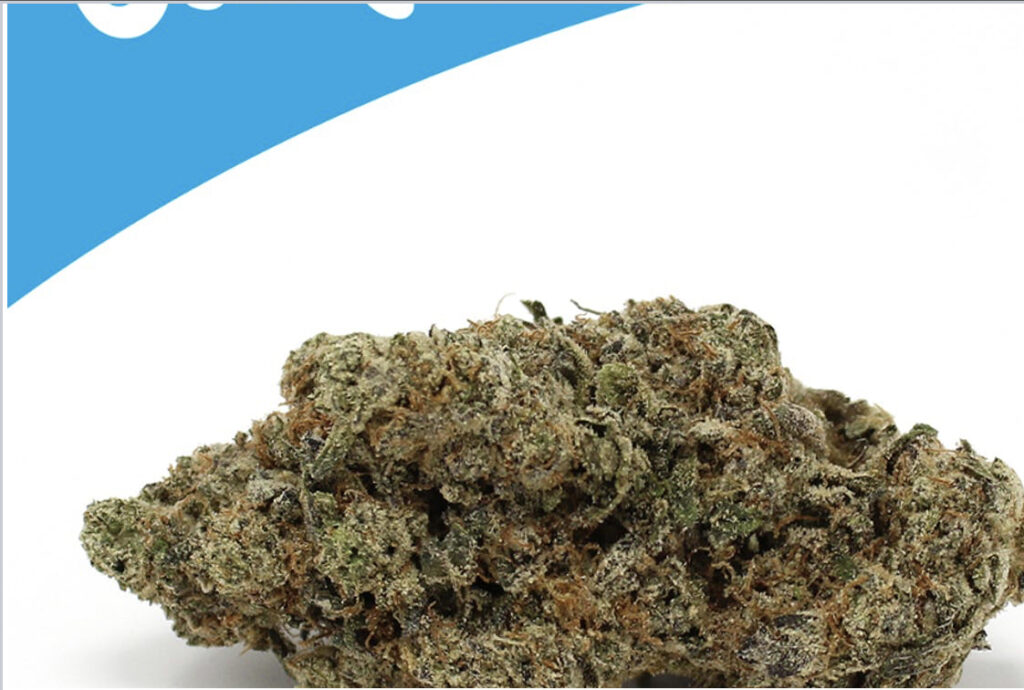 Is kush mints indica or sativa