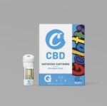 Cartuccia G Pen Gio Vape