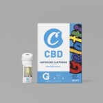 Cartuccia G Pen Gio Vape