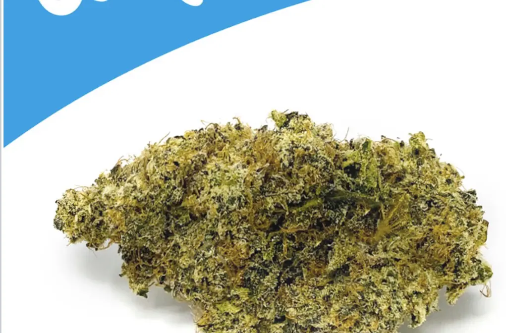 Crystal Gelato Weed