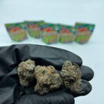 Gooderz Watermelon Bag