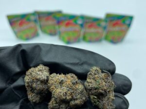 Gooderz Watermelon Bag