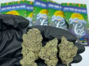 Where to Purchase Smarties Marijuana 