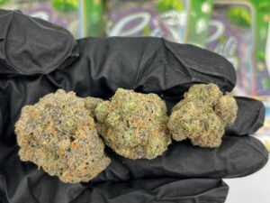 Jettsmarter Bag