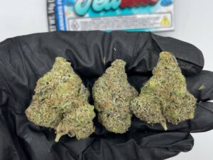 Buy Jettlato Bag Marijuana Stain