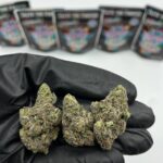 Fwaygo Exotic Smoothie Bag