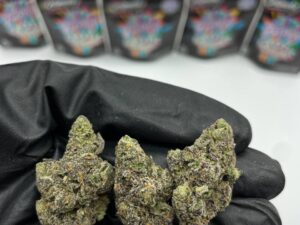 Fwaygo Exotic Smoothie Bag