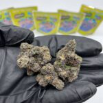 Blazzin Bluesberry Bag