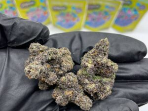 Blazzin Bluesberry Bag