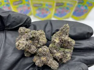 Blazzin Bluesberry Bag