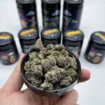 Buy Lucky Jett Jar Cannabis Strain