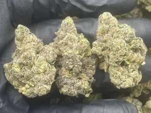 Afghan Kush Strain