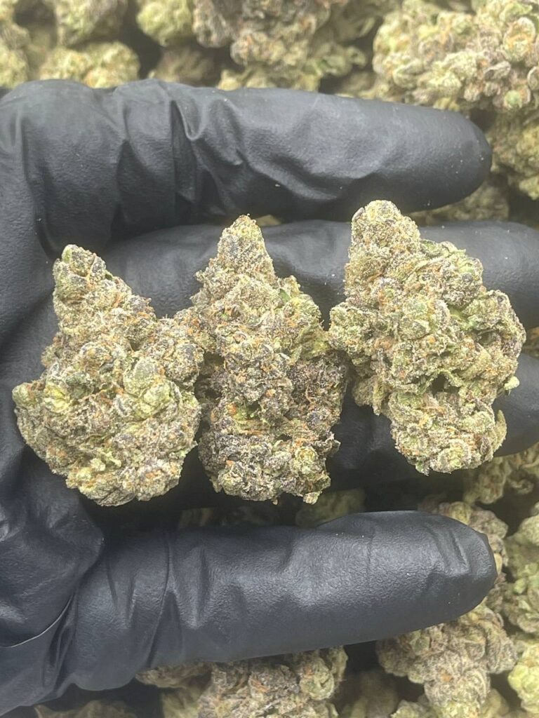 Afghan Kush Strain
