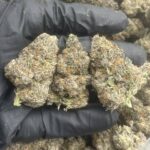 Buy Blue Dream Marijuana online