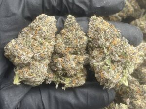 Buy Blue Dream Marijuana online
