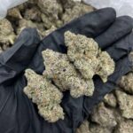 Buy Bubble Gum Marijuana in the UK