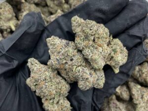 Buy Bubble Gum Marijuana in the UK