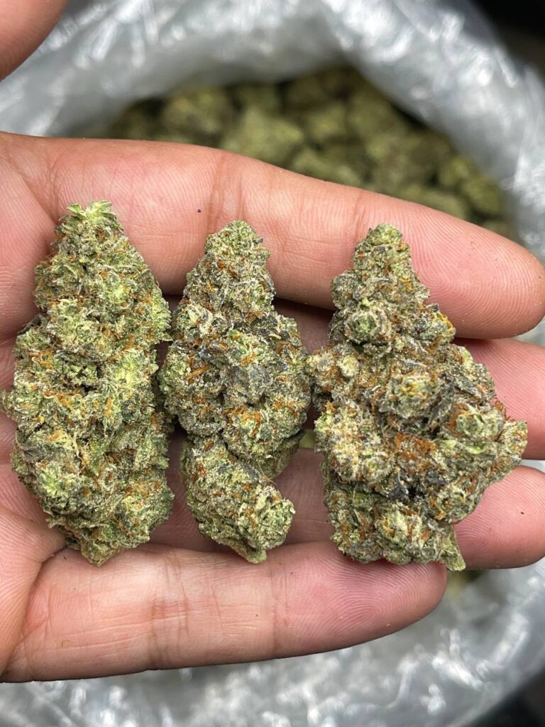 skittles marijuana