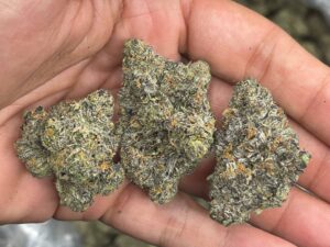 Runtz strain for sale