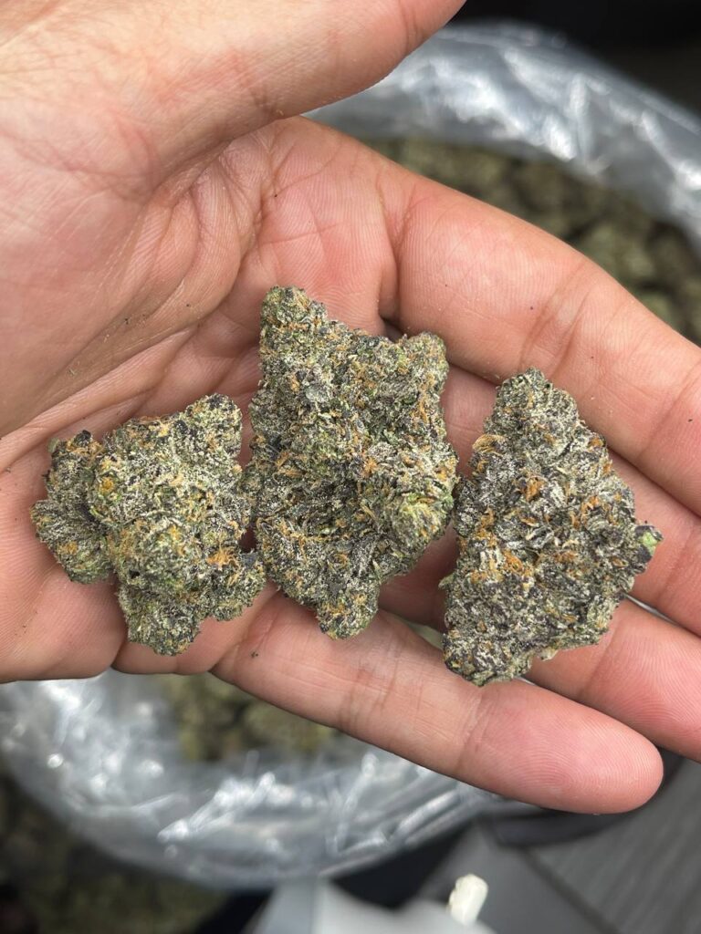 Runtz strain for sale