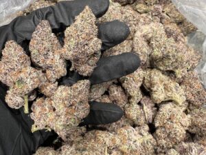 Oreoz Marijuana Strain