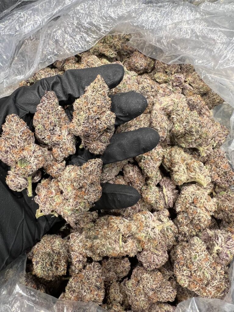 Oreoz Marijuana Strain