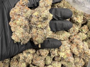 Buy Oreoz Marijuana Strain