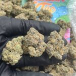 Legalized Marijuana Shop in US