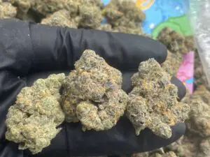 Legalized Marijuana Shop in US