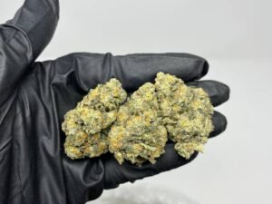 Kush Mintz x ICC