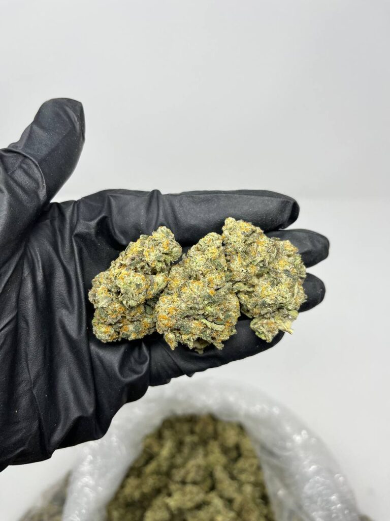 Kush Mintz x ICC