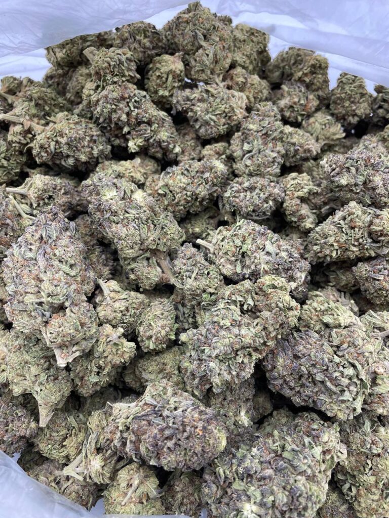 Purple Widow Marijuana Strain