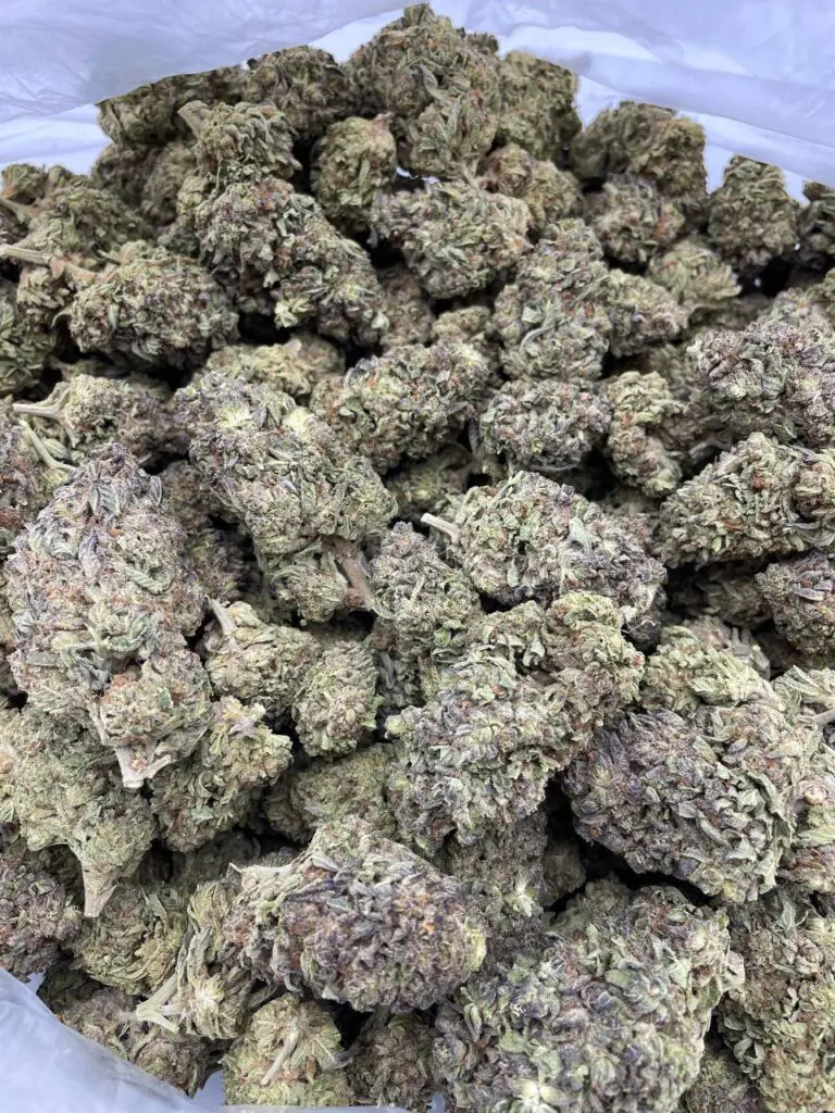 Purple Widow Marijuana Strain
