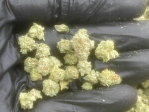 Indoor Plat Smalls