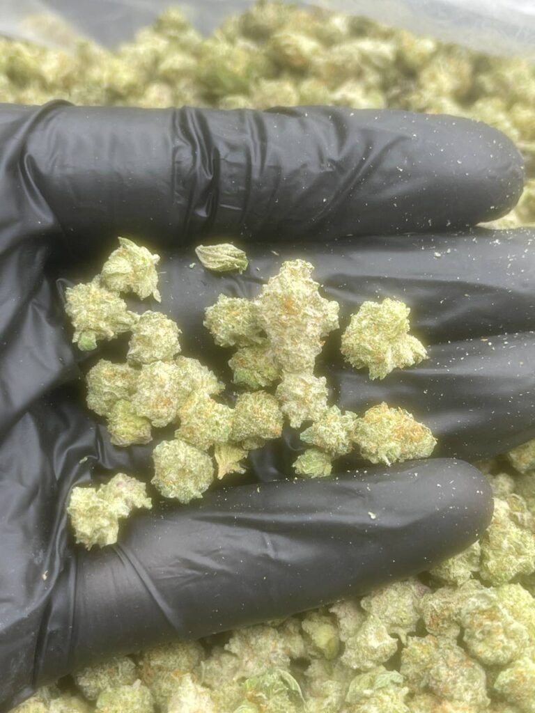 Indoor Plat Smalls