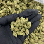 Papaya Cake Strain