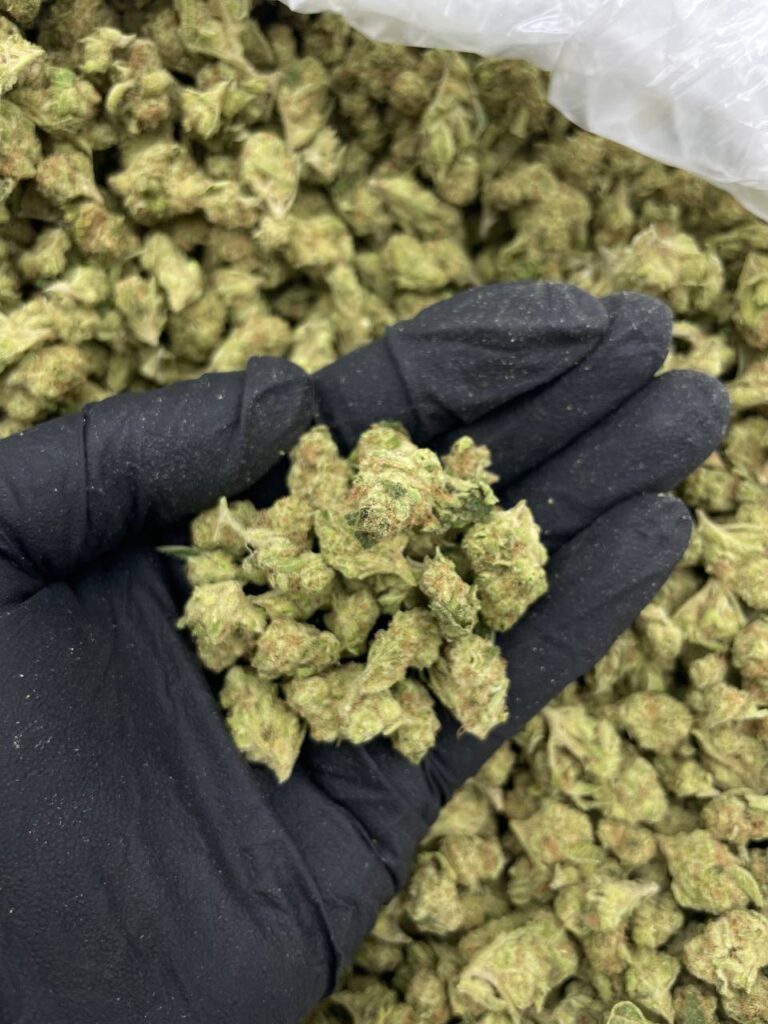 Papaya Cake Strain