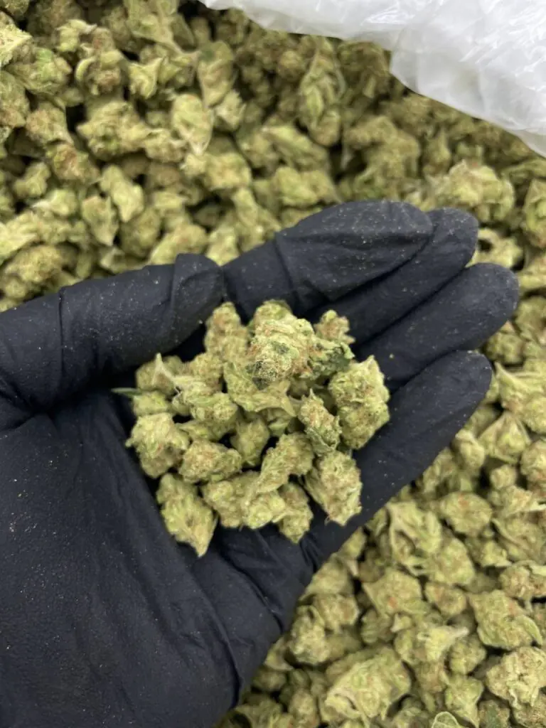 Papaya Cake Strain