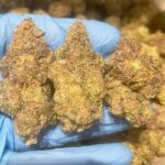 Biscotti X Sherbert