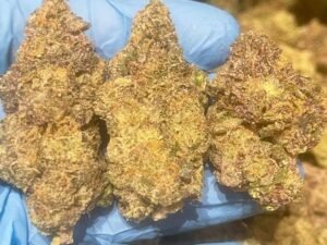 Biscotti X Sherbert