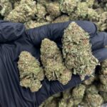 Platinum 55 x Wedding Cake