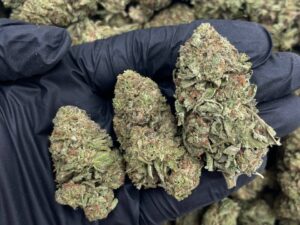 Platinum 55 x Wedding Cake