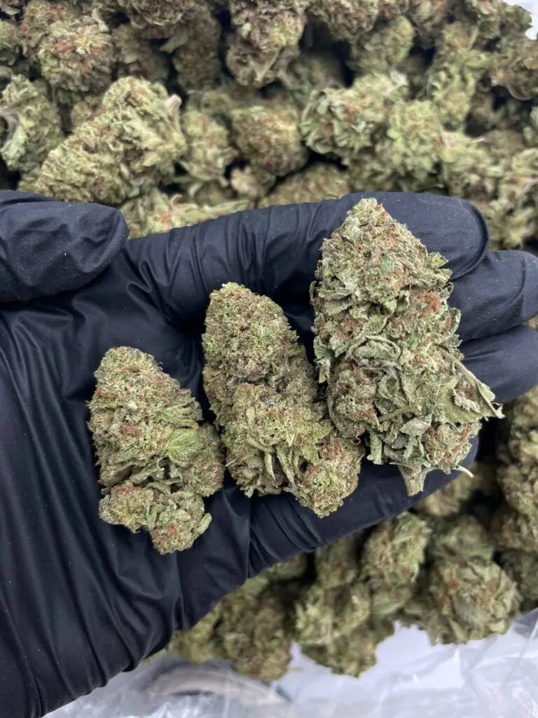 Platinum 55 x Wedding Cake