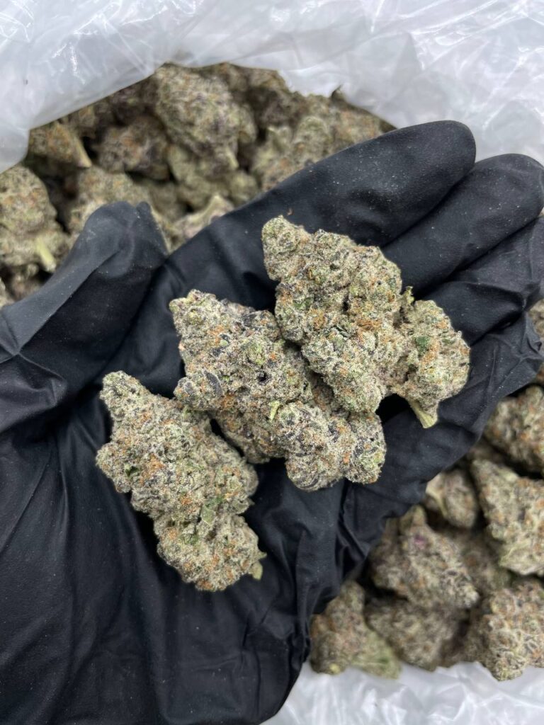 Apple Tart Strain for Sale