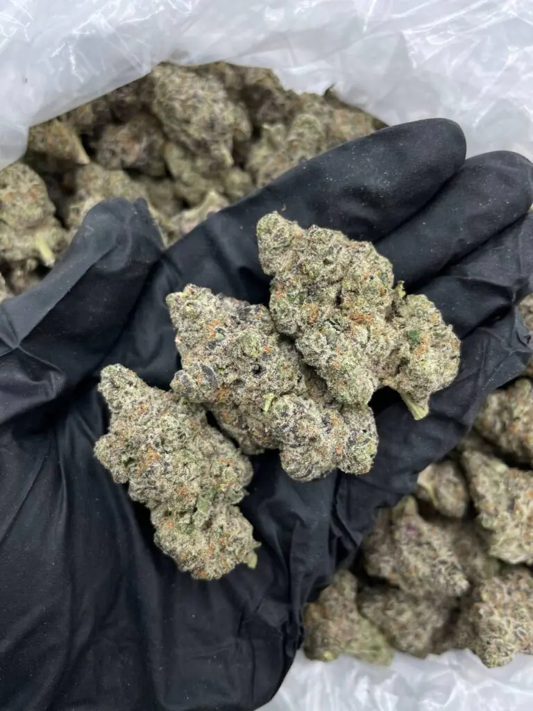 Apple Tart Strain for Sale