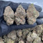 Buy Italian Trufflez Online