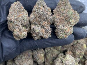 Buy Italian Trufflez Online