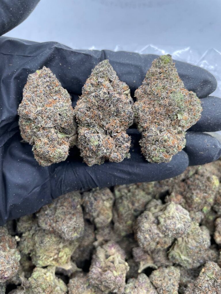 Buy Italian Trufflez Online